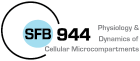 Logo_SFB944_2.png